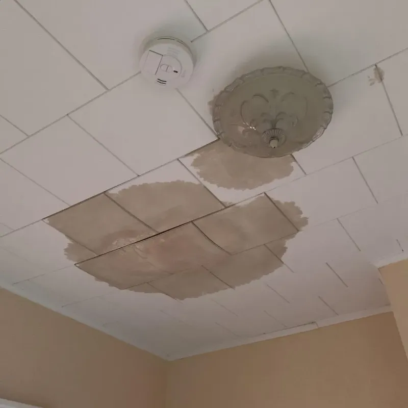 Ceiling Water Damage Repair in Loveland Park, OH