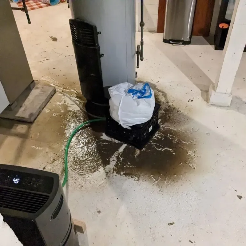 Sewage Backup Cleanup Service in Loveland Park, OH